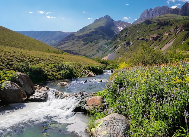 Water stream surrounded by mountains and flowers on a sunny day