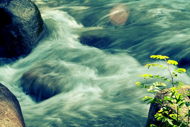 Photo water streaming  from waterfall and little green plant  frsh nature background