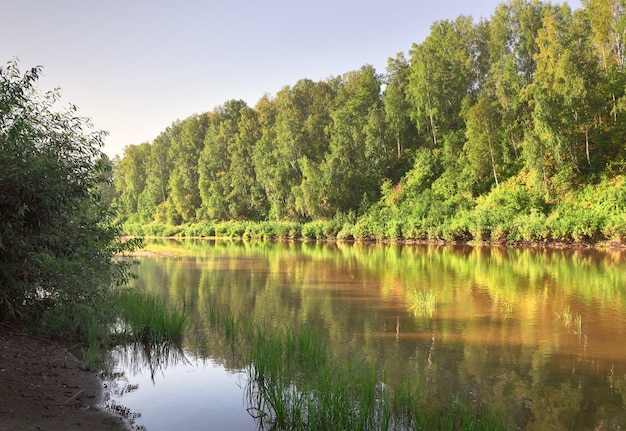 Water surface of the river Inya