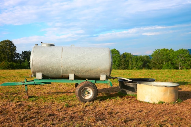 Water trough for drinking of cow cattle in the field, Franche Comte, France.