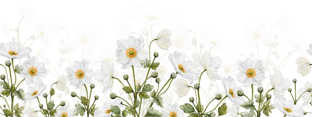 Watercolor anemones flower seamless border