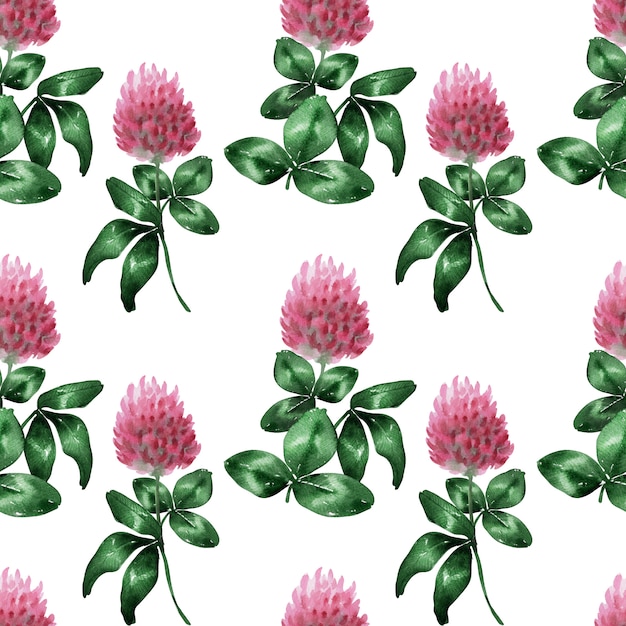 Watercolor background with clover field flower