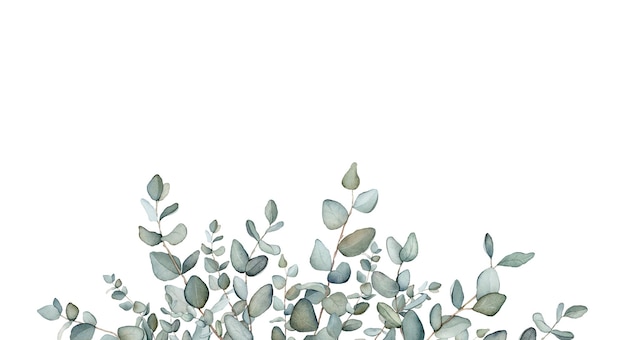 Watercolor banner with green eucalyptus leaves branchesWatercolor eucalyptus in bouquet for wedding Decorative element for greeting card Illustration