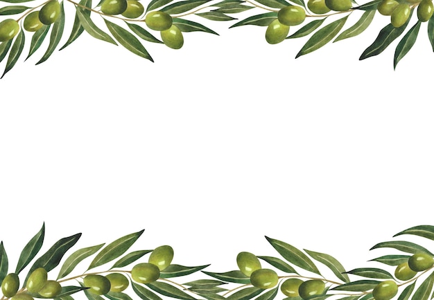 Photo watercolor banner with green olive branches for border poster postcard olive oil design wrapping