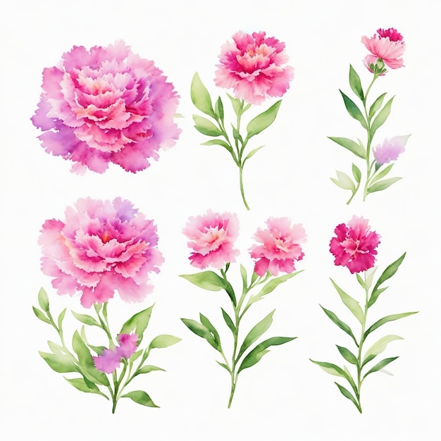 Watercolor Blooms Captivating Flowers in Vivid Color