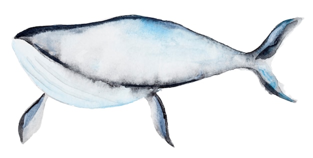 Watercolor blue whale