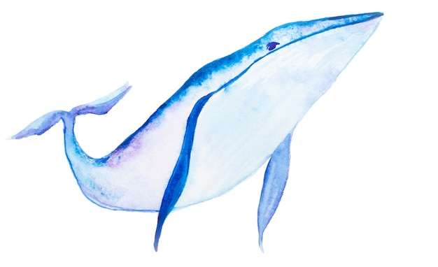 Watercolor blue whale