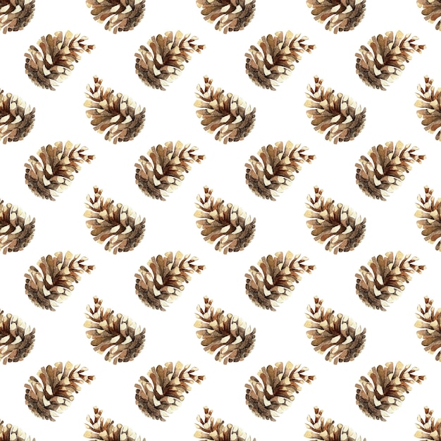 Photo watercolor botanical seamless pattern with pine cones hand painted winter holiday plants isolated