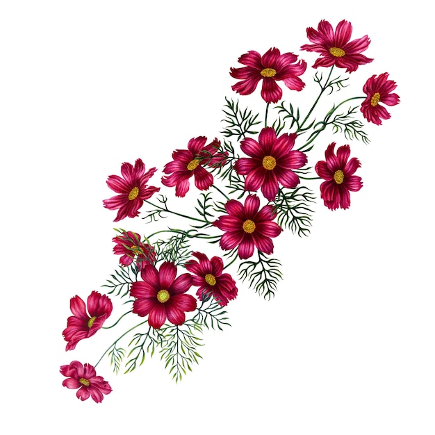 Watercolor bouquet of red and purple cosmos flowers for templates for card of Mothers Day textile