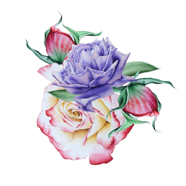 Watercolor bouquet with flowers.  Illustration. Rose. Peony. hand drawn.