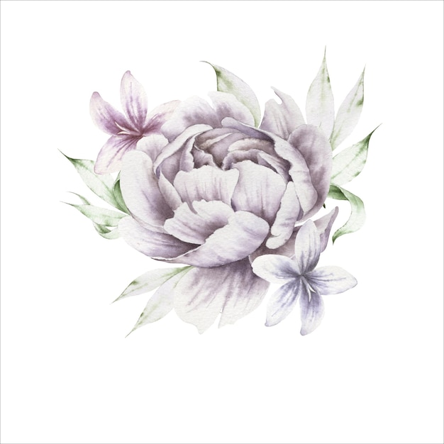 Watercolor bouquet with flowers Peony Illustration Hand drawn