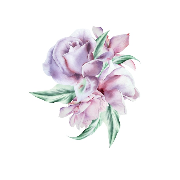 Watercolor bouquet with flowers. Rose.  Illustration.  Hand drawn.