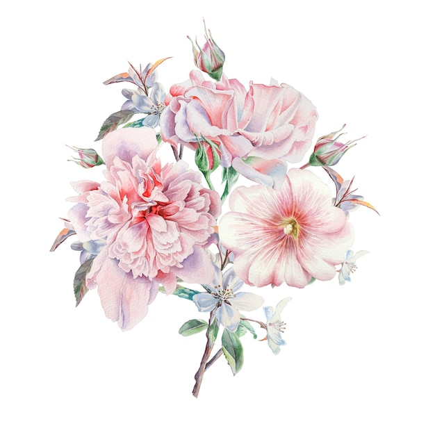 Watercolor bouquet with flowers. Rose. Peony. Mallow. Illustration. Hand drawn.