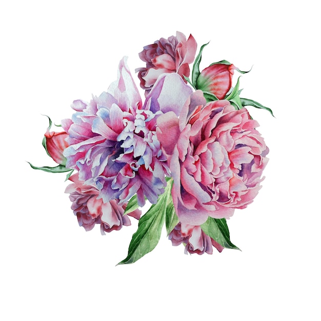 Watercolor bouquet with peony. Hand drawn.