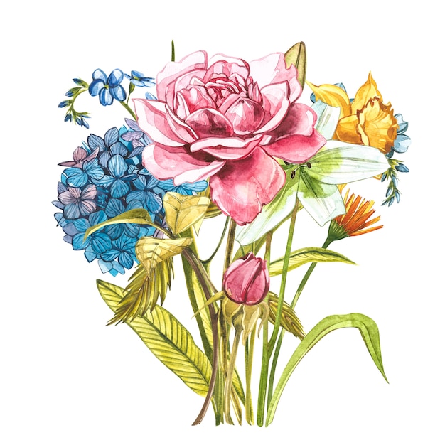 Watercolor bouquet with pink wild roses, hidrungea and Narcissus . Wild flower set isolated on white. Botanical watercolor illustration, roses bouquet, rustic flowers. Isolated on white