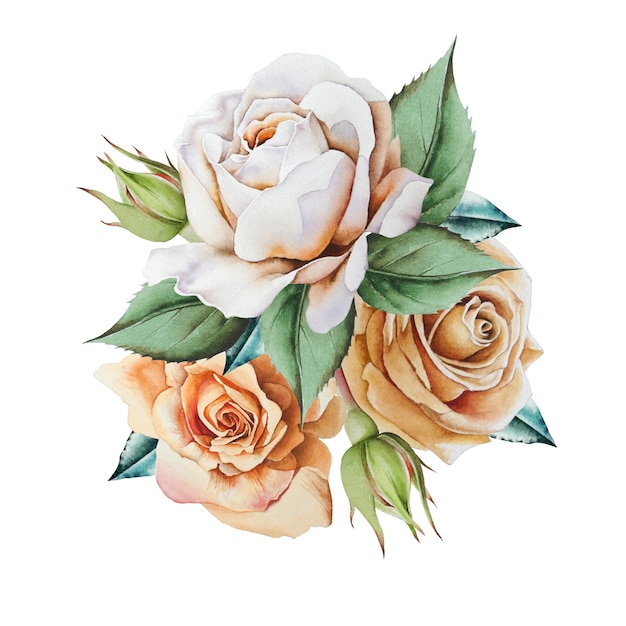 Watercolor bouquet with roses.  Illustration. Hand drawn.