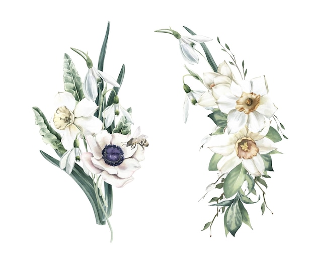 Watercolor Bouquets with Daffodils Anemone and Snowdrops