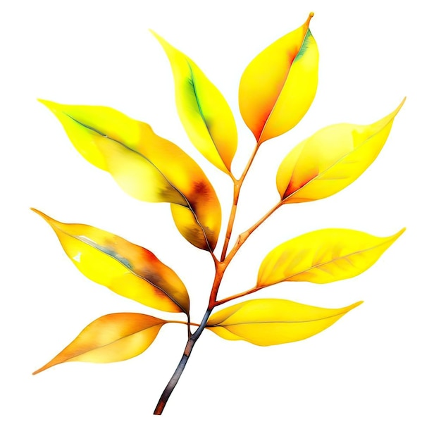 Watercolor branch with yellow leaves