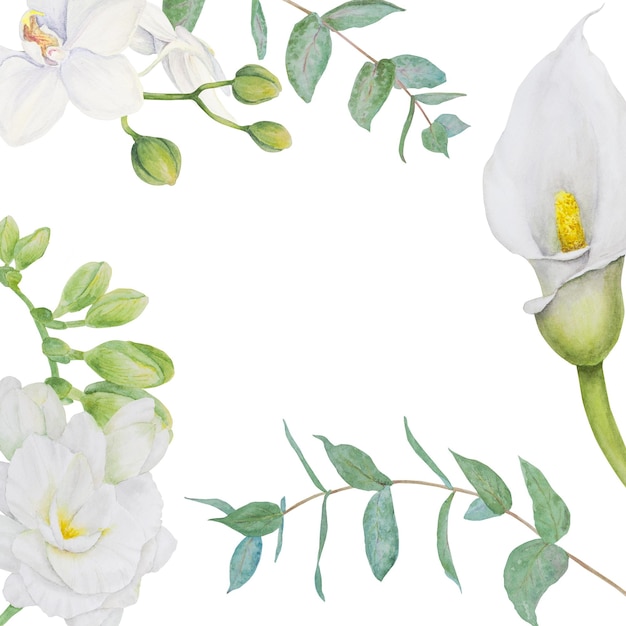 Watercolor clipart of white calla lily freesia flowers and eucalipt Hand drawn floral illustration