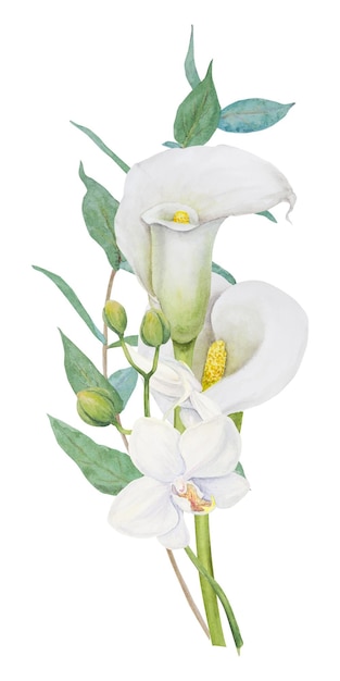 Watercolor clipart of white calla lily orchid flowers and eucalipt Hand drawn floral illustration