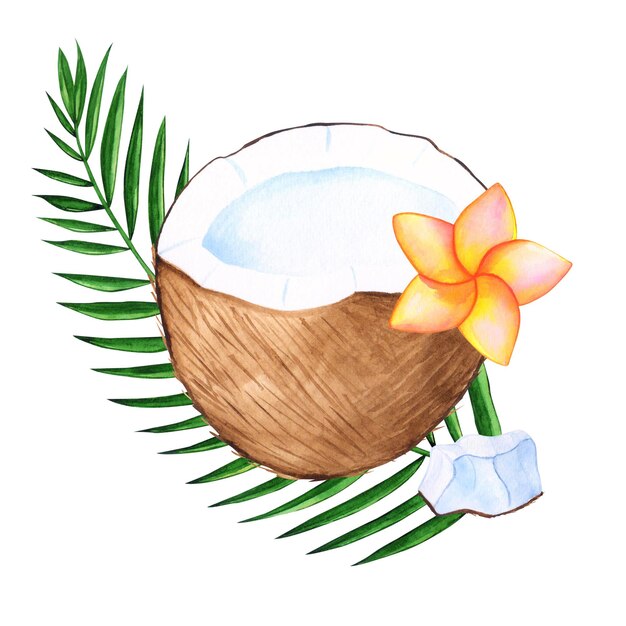 Watercolor coconut tropical illustration with isolated elements for design