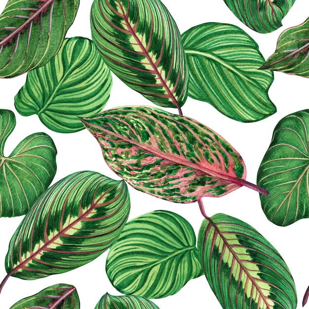 Watercolor colorful tropical leaves seamless pattern background.