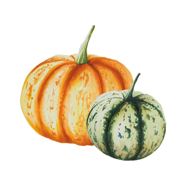 Watercolor composition of autumn pumpkins isolated Thanksgiving Halloween illustration for designers