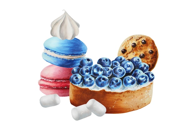 Watercolor composition with chocolate cookies macaron meringue blueberry cake Hand painting sweet