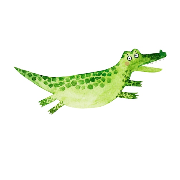 Watercolor crocadile with wings on a white background