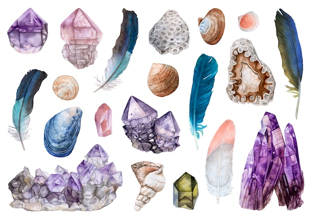 Watercolor crystals, seashells, feathers isolated on white background.