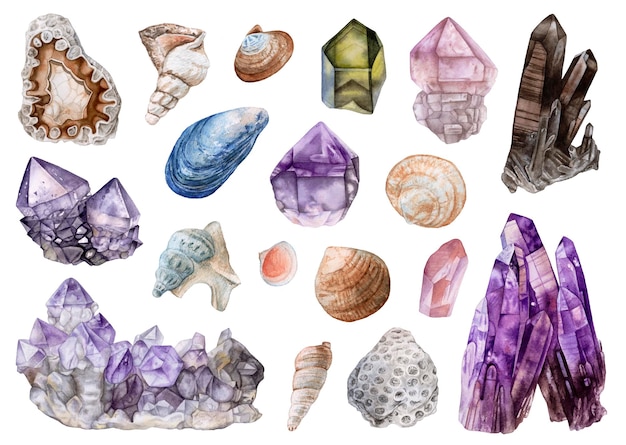 Watercolor crystals, seashells isolated on white background. Amethyst, smoky quartz, rose quartz etc