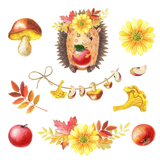 Watercolor cute hedgehog mushroom and floral composition of yellow flowers autumn leaves