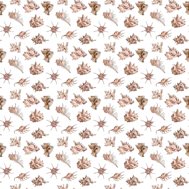 Watercolor digital illustration seamless pattern of seashells from brown marine life on background