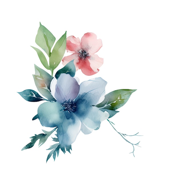 Watercolor Drawing Blossom Clementine Flowers Leaves Arrangement of Bouquet Vector Illustration