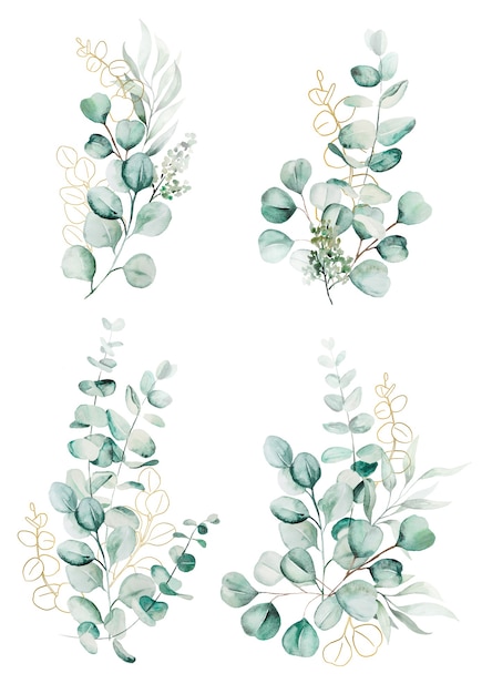 Watercolor eucaliptus branches and leaves bouquets illustration isolated