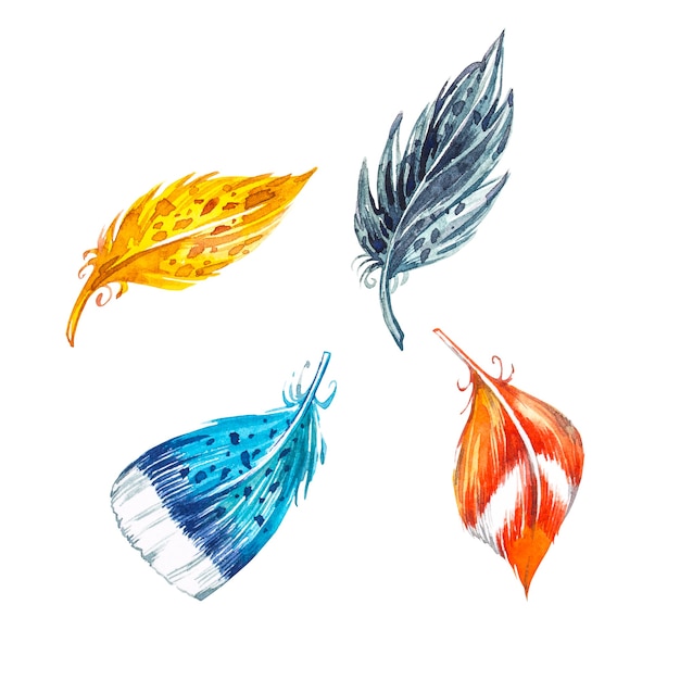 Photo watercolor feather. hand draw watercolor illustrations on white background. easter collection.