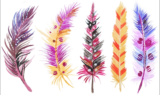 watercolor feathers