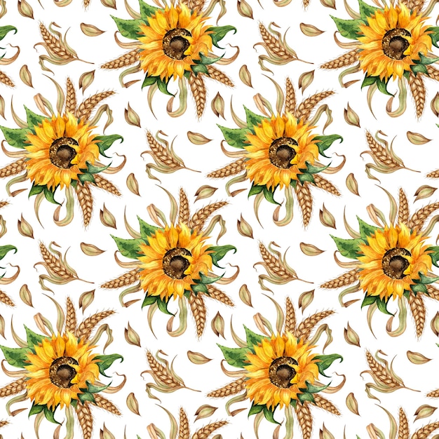 Watercolor floral illustration Pattern of sunflowers wheat ears and grains isolated