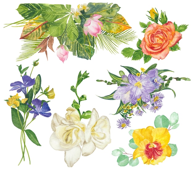 Watercolor flowers floral paint illustration with clipping parts