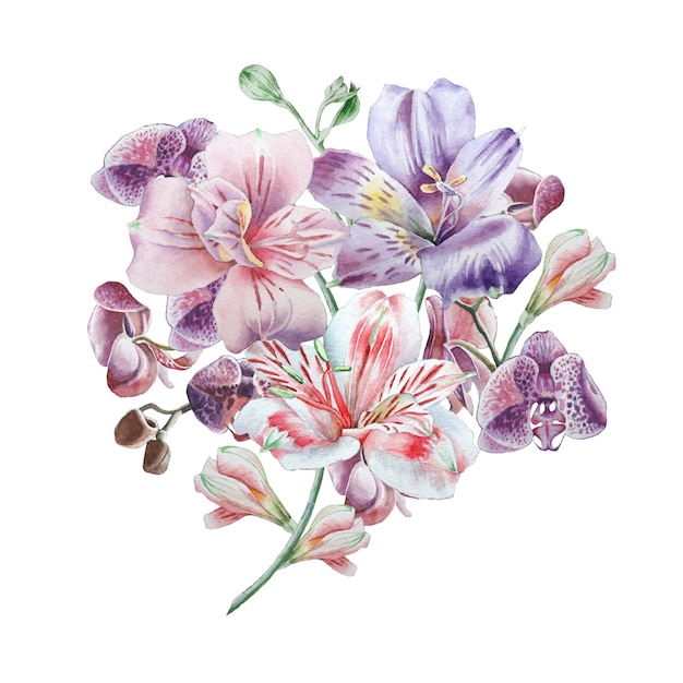 Watercolor flowers on a white background