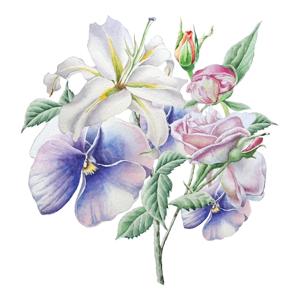 Watercolor flowers on a white background