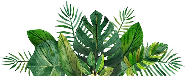 Watercolor frame of tropical leaves