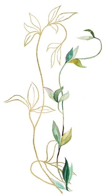 Watercolor green and golden botanical leaves isolated illustration wedding stationery element