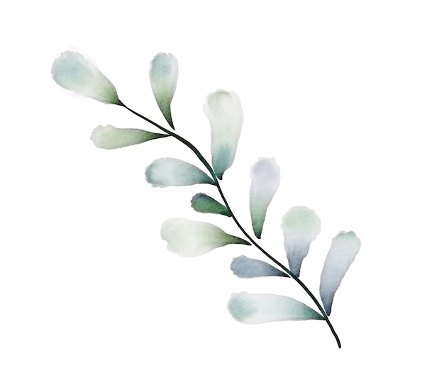 Watercolor green leaf on white abstract branch