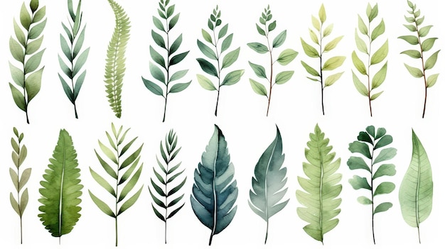 Watercolor Green Leaves Collection