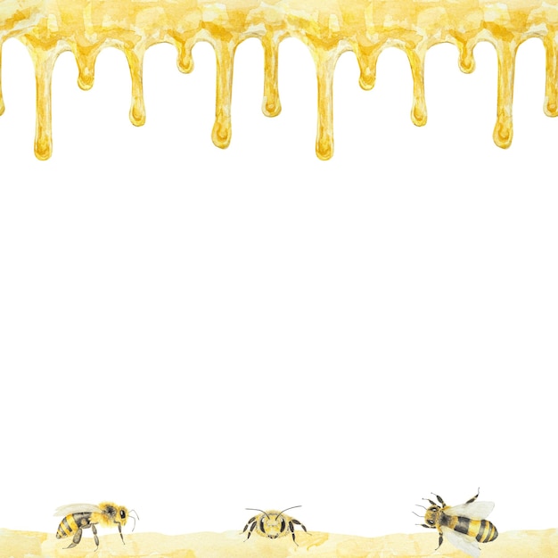 Watercolor hand drawn bee isolated on white background