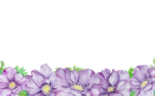 Watercolor hand drawn border of purple anemones with green leaves isolated on white background