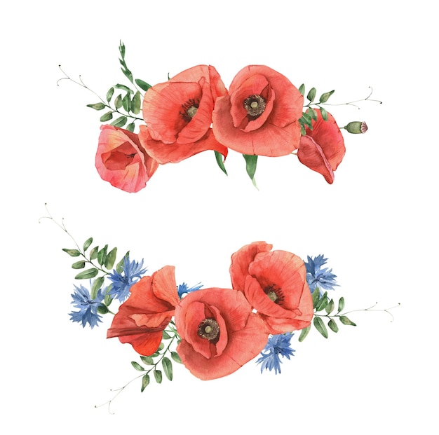 Watercolor hand drawn bouquet of poppies cornflowers and herbs Perfect for invitation and social media