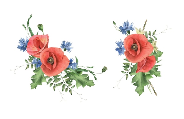 Watercolor hand drawn bouquet of poppies cornflowers and herbs Perfect for invitation and social media