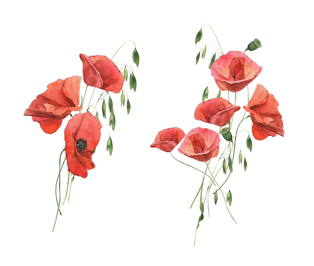 Watercolor hand drawn bouquet of poppies and herbs Perfect for invitation and social media